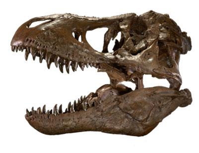 trex