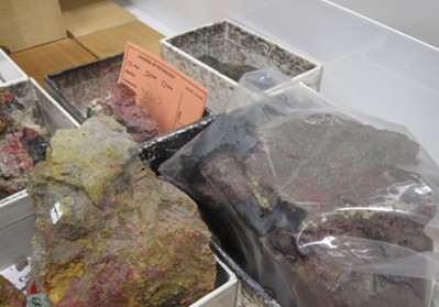 Various geological specimens arranged in a drawer