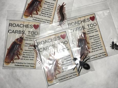 Plastic bags containing plastic bugs and a note titled roaches love carbs too