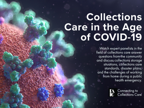 C2C: Collections Care and Covid-19